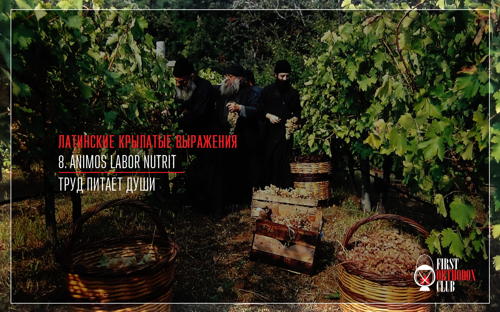 Animos labor nutrit. Труд питает души.