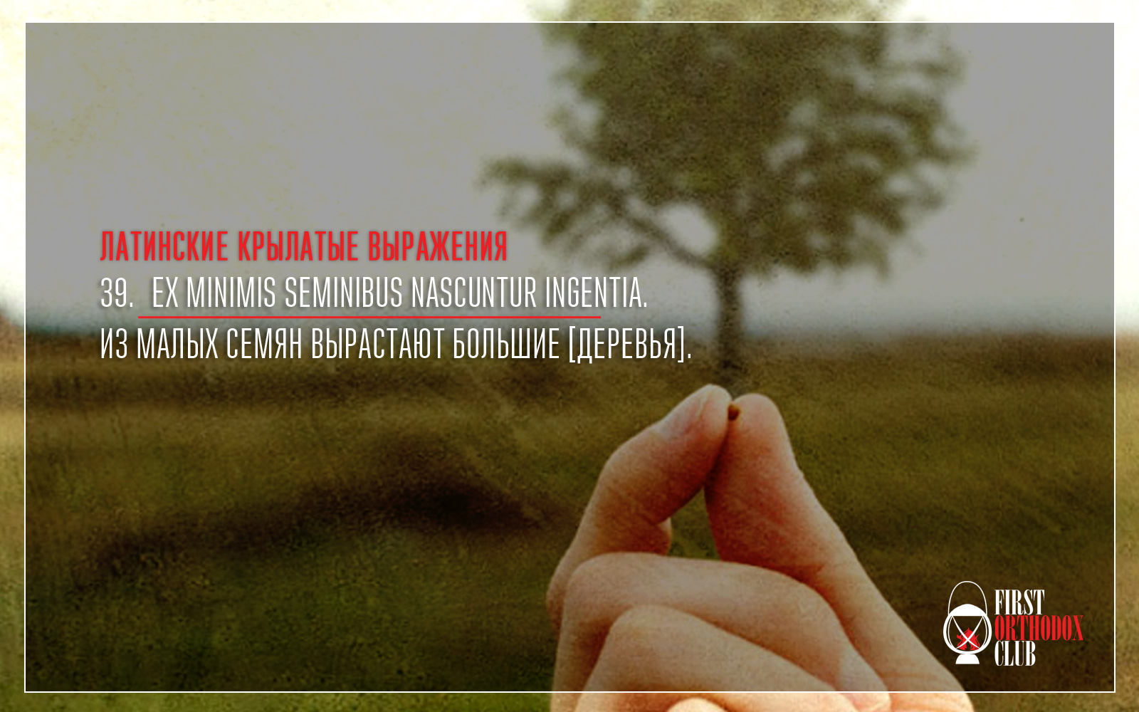 Ex minimis seminibus nascuntur ingentia. Из малых семян вырастают большие [деревья].