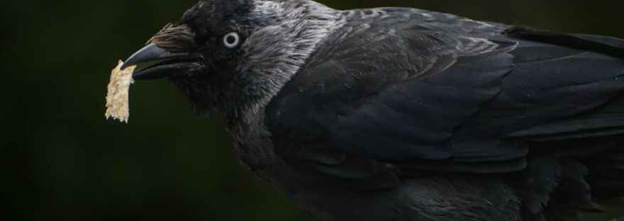 православные шутки, христианский юмор, церковный юмор, добрые анекдоты, шутки про исповедь, юмор про верующих, православие с улыбкой, шутки для прихожан