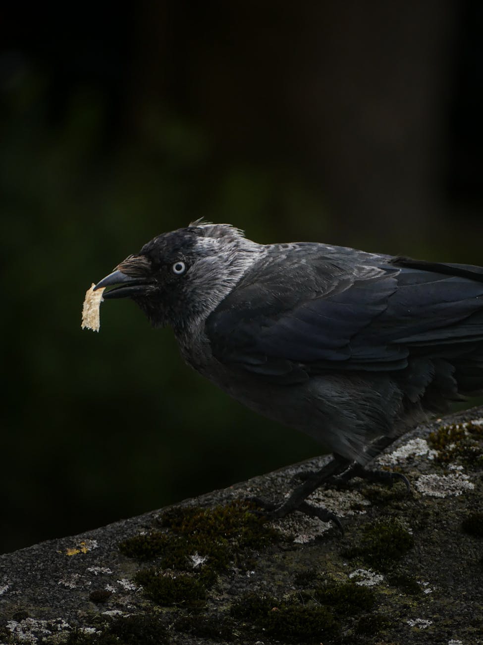 православные шутки, христианский юмор, церковный юмор, добрые анекдоты, шутки про исповедь, юмор про верующих, православие с улыбкой, шутки для прихожан