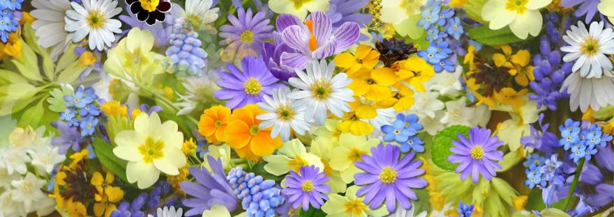 Свт. Иоанн Златоуст, Прп. Паисий Святогорец, Свт. Григорий Богослов, добродетель и порок, духовные наставления, уроки православных святых, советы для повседневной жизни, православная мудрость, терпение и смирение, нравственное руководство