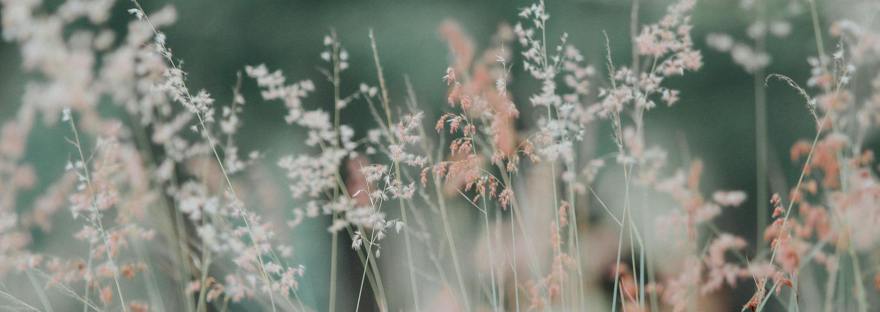 Свт. Григорий Богослов, осуждение чужого порока, духовная мудрость, Свт. Тихон Задонский, христианин и молитва, духовная жизнь и Слово Божие,