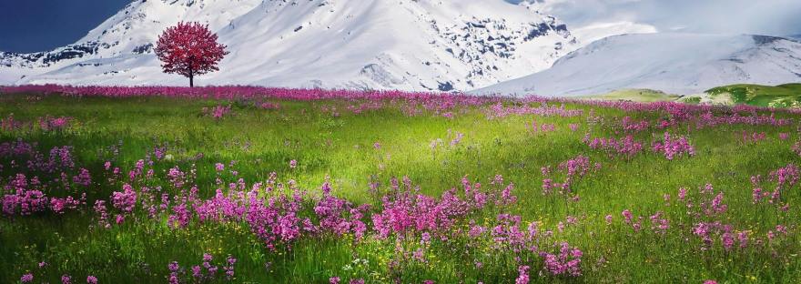 любовь возрастать отдавать Паисий, семена любви не сеять Паисий Святогорец, беседы долгие пожирают жизнь Григорий Богослов, хранить тайны друзей Иоанн Златоуст, тайна друга бесчестит совесть Златоуст,